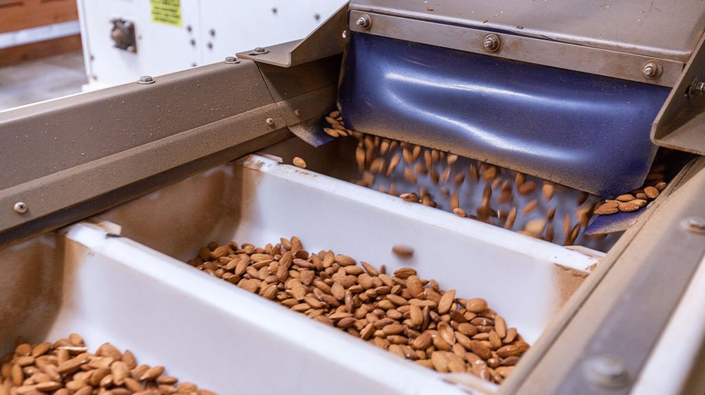 بررسی و توصیف فرآیند تولید آرد بادام از مراحل اولیه تا مرحله نهایی
