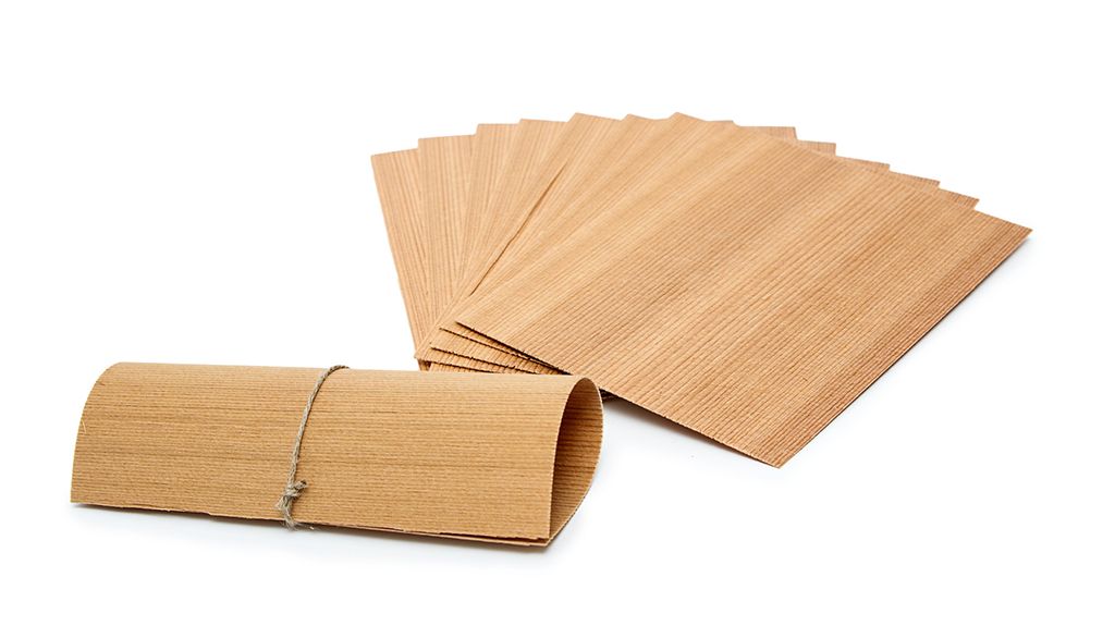 طرح توجیهی تولید کاغذ از چوب خرما