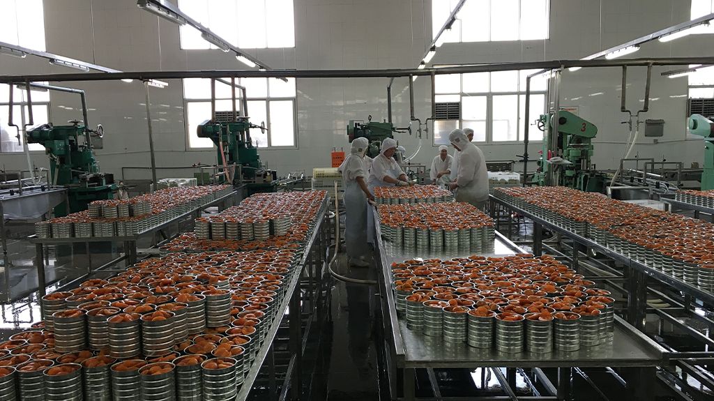 مراحل تولید کمپوت میوه در کارخانه