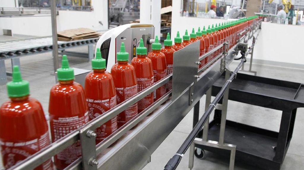 مراحل تولید سس گوجه فرنگی در کارخانه_پرشین پلن