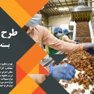 طرح توجیهی بسته بندی خرما (سال 1404) +هدیه به ارزش 150 هزار تومان