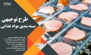 طرح توجیهی بسته بندی مواد غذایی_پرشین پلن