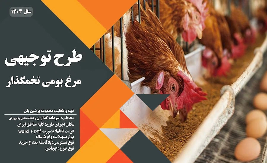 طرح توجیهی پرورش مرغ بومی تخمگذار_پرشین پلن