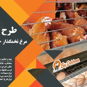 طرح توجیهی مرغ تخمگذار 10.000 قطعه ای (1404) +هدیه به ارزش 150 هزار تومان