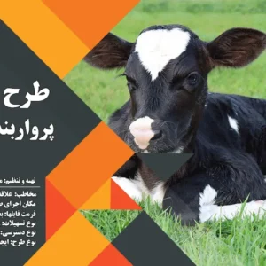 طرح توجیهی گوساله 10 راسی (سال 1404) +هدیه به ارزش 150 هزار تومان