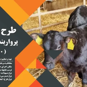 طرح توجیهی گوساله 1000 راسی (سال 1404) +هدیه به ارزش 150 هزار تومان
