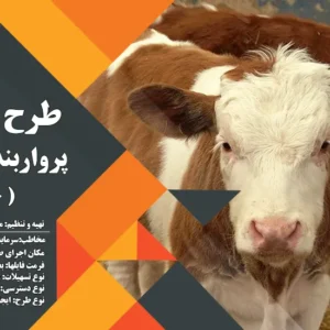 طرح توجیهی گوساله 20 راسی (سال 1404) +هدیه به ارزش 150 هزار تومان