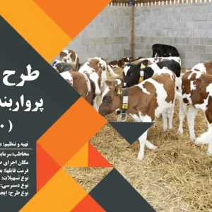 طرح توجیهی گوساله 500 راسی (سال 1404) +هدیه به ارزش 150 هزار تومان