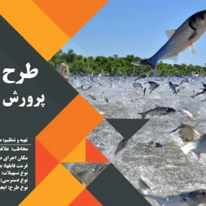 طرح توجیهی پرورش ماهی کپور (سال 1404) +هدیه به ارزش 150 هزار تومان