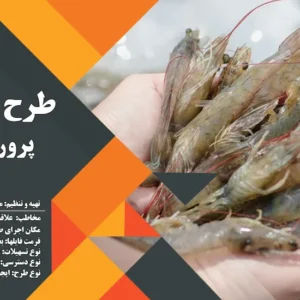 طرح توجیهی پرورش میگو (سال 1404) +هدیه به ارزش 150 هزار تومان