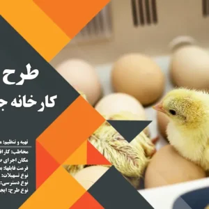 طرح توجیهی کارخانه جوجه کشی (سال 1403) +هدیه به ارزش 150 هزار تومان