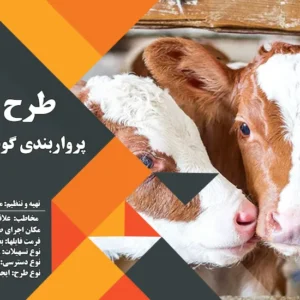 طرح توجیهی گوساله 100 راسی (سال 1404) +هدیه به ارزش 150 هزار تومان