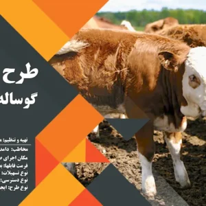 طرح توجیهی گوساله 50 راسی (سال 1404) +هدیه به ارزش 150 هزار تومان