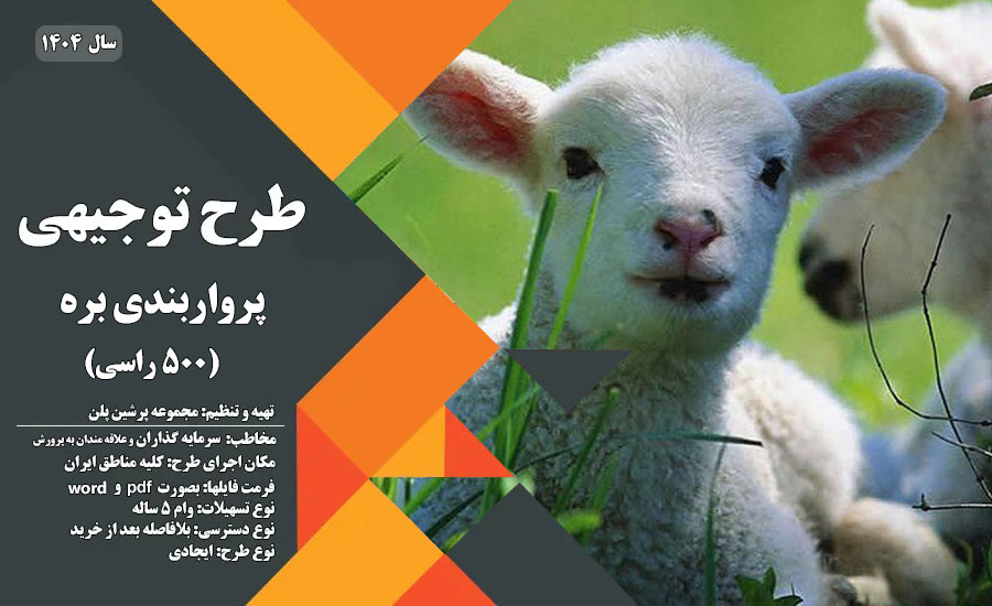 طرح توجیهی پرواربندی بره 500 راسی☀️(سود+درآمد) 1404 - پرشین پلن