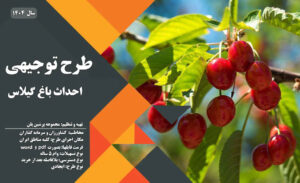طرح توجیهی باغ گیلاس_پرشین پلن