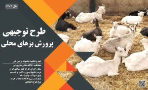 طرح توجیهی برای پرورش بزهای محلی چندقلوزا_پرشین پلن