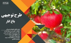 طرح توجیهی باغ انار_پرشین پلن