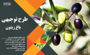 طرح توجیهی احداث باغ زیتون_پرشین پلن