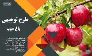 طرح توجیهی باغ سیب_پرشین پلن