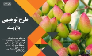 طرح توجیهی احداث باغ پسته_پرشین پلن