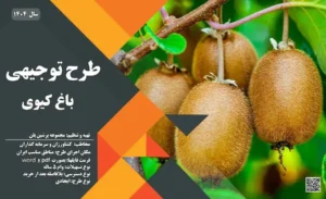 طرح توجیهی باغ کیوی_پرشین پلن