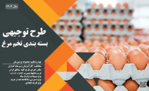 طرح توجیهی بسته بندی تخم مرغ_پرشین پلن