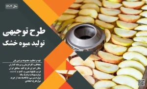 طرح توجیهی تولید میوه خشک_پرشین پلن