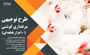 طرح توجیهی مرغداری گوشتی 10000 قطعه ای_پرشین پلن