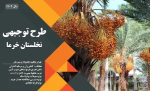 طرح توجیهی نخلستان خرما_پرشین پلن