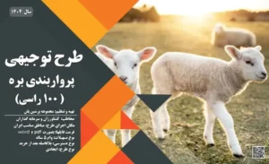 طرح توجیهی پرواربندی بره 100 راسی سال 1404_پرشین پلن