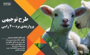 طرح توجیهی پرواربندی بره 200 راسی_پرشین پلن