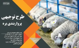 طرح توجیهی پرواربندی بره_پرشین پلن