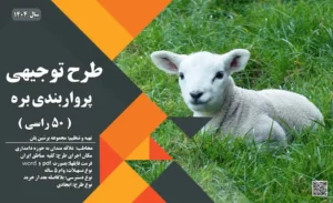 طرح توجیهی آماده پرواربندی بره 50 راسی_پرشین پلن
