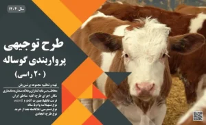طرح توجیهی آماده گوساله پرواری 20 راسی_پرشین پلن