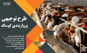 طرح توجیهی پرواربندی گوساله_پرشین پلن