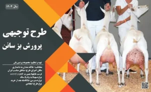 طرح توجیهی پرورش بز سانن_پرشین پلن