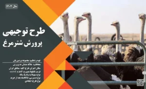 طرح توجیهی پرورش شترمرغ_پرشین پلن