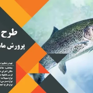 طرح توجیهی ماهی قزل آلا_پرشن پلن