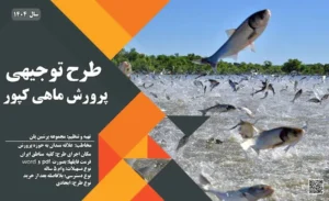 طرح توجیهی ماهی کپور_پرشین پلن