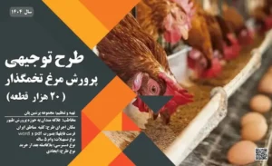 طرح توجیهی آماده مرغ تخمگذار 20,000 قطعه ای_پرشین پلن