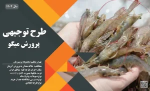 طرح توجیهی پرورش میگو_پرشین پلن