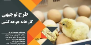 طرح توجیهی کارخانه جوجه کشی