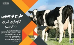طرح توجیهی گاوداری شیری 20 راسی_پرشین پلن
