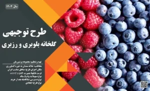 طرح توجیهی گلخانه بلوبری_پرشین پلن