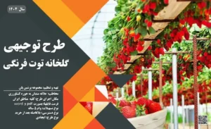 طرح توجیهی گلخانه توت فرنگی_پرشین پلن