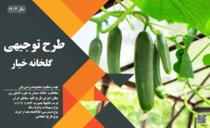 طرح توجیهی گلخانه خیار_پرشین پلن