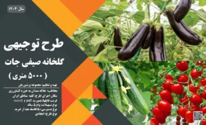 طرح توجیهی گلخانه صیفی جات 5000 متری_پرشین پلن
