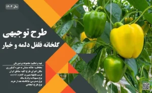 طرح توجیهی گلخانه فلفل دلمه و خیار_پرشین پلن