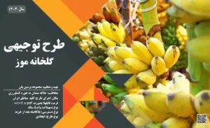طرح توجیهی گلخانه موز _پرشین پلن