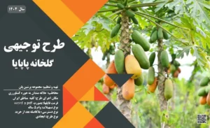 طرح توجیهی احداث گلخانه پاپایا_پرشین پلن